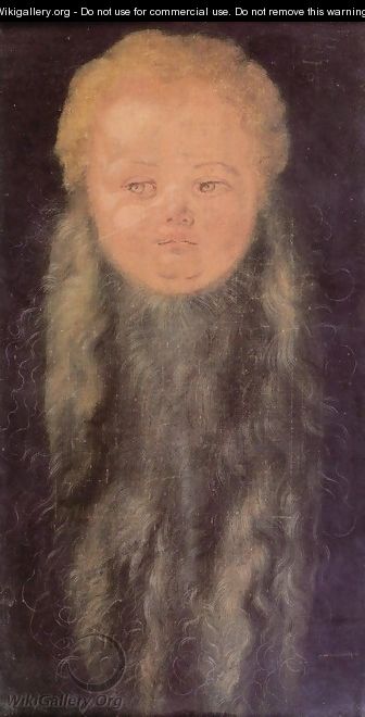 Head of a bearded child - Albrecht Durer