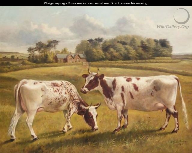 Pinky II And Polly II, Two Prize Pedigree Ayrshire Cows In A Spring Landscape - Benjamin Cam Norton