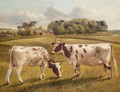 Pinky II And Polly II, Two Prize Pedigree Ayrshire Cows In A Spring Landscape - Benjamin Cam Norton