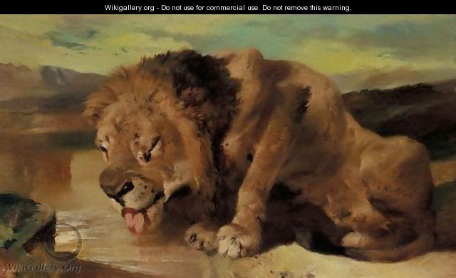 A Lion Drinking - (after) Landseer, Sir Edwin