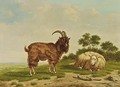 Sheep And Goat In A Landscape - Arthur De Waerhert