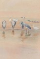 Herons - Charles Whymper