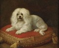 Portrait Of A Dog Seated On A Pillow - French School