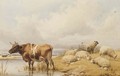 Cattle And Sheep - Thomas Sidney Cooper