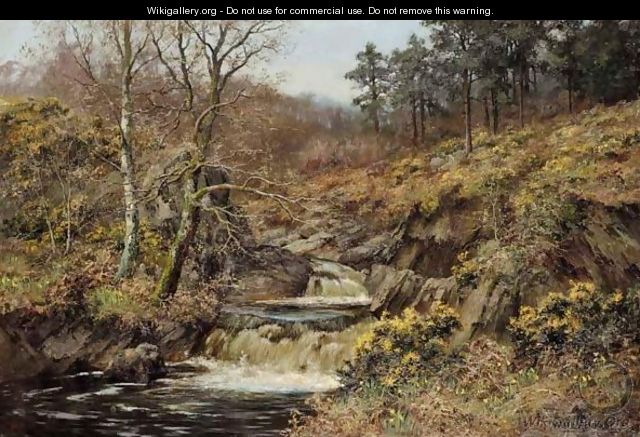 A Waterfall - Walter Boodle