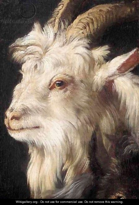 A Study For The Head Of A Goat - (after) Philipp Peter Roos