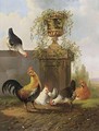 Chickens And A Cockerel By A Wall - Albertus Verhoesen