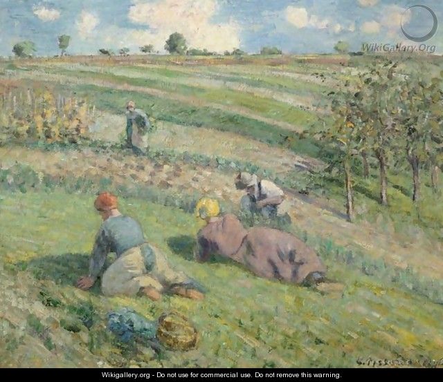 Sarcleurs Dans Les Champs, Pontoise - Camille Pissarro