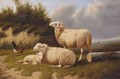 Sheep Resting - Jacob Van Dieghem