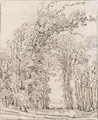 Study Of Trees - Francois Ryckhals