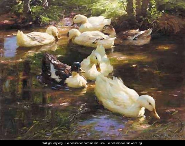 Enten Im Wasser Vor Baumufer (Ducks On A Pond) - Alexander Max Koester