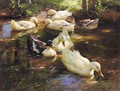 Enten Im Wasser Vor Baumufer (Ducks On A Pond) - Alexander Max Koester