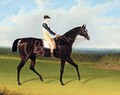 Filho Da Puta, A Dark Bay Racehorse With Thomas Goodisson Up Wearing The Colours Of Mr Thomas Houldsworth - John Frederick Herring Snr