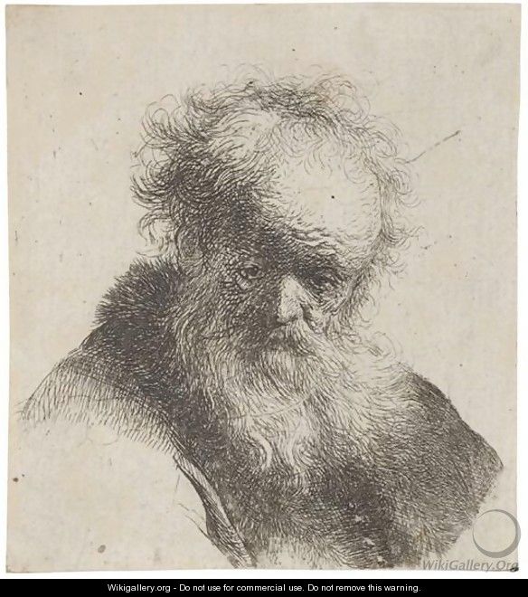 Bust Of An Old Man With Flowing Beard And White Sleeve - Rembrandt Van Rijn