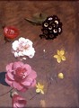 A Study Of Primulas, Camellias And Prunus - Antoine Chazal