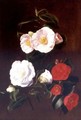 A Study Of Camellias - Antoine Chazal