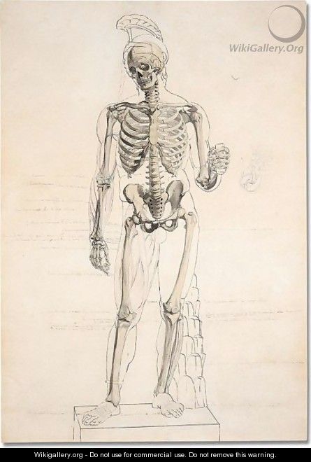 Skeleton - French School