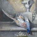 Still Life With A Dead Pheasant On A Ledge - Jakob Friedrich Leclerc