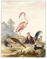 A Flamingo And Exotic Poultry In A Landscape - Johannes Bronckhorst