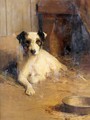 Fox Terrier In A Kennel - Samuel Fulton