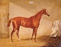 A Racehorse In A Loose Box - Henry Thomas Alken