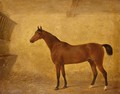 Portrait Of A Bay Horse In A Loose Box - (after) Harry Hall