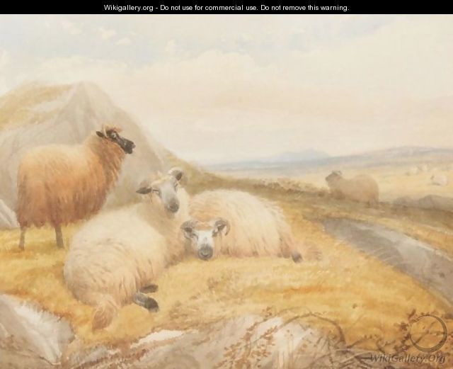 A Group Of Mountain Sheep - Thomas Sidney Cooper
