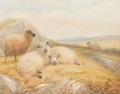 A Group Of Mountain Sheep - Thomas Sidney Cooper
