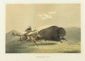 Buffalo Hunt, Chase And Antelope Shooting - George Catlin