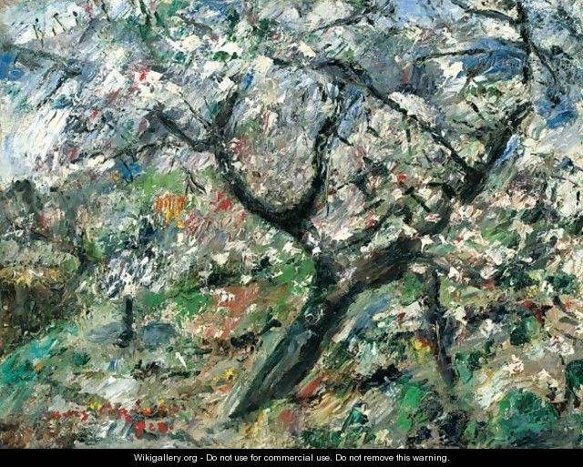 Bluhender Apfelbaum (Apple Tree In Blossom) - Lovis (Franz Heinrich Louis) Corinth