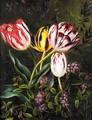 Tulipaner (Tulips) - Johan Laurentz Jensen