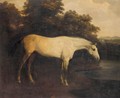 A Grey Hunter In A River Landscape 2 - Henry Bernard Chalon