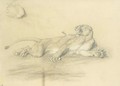 Wounded Lioness - Briton Rivière