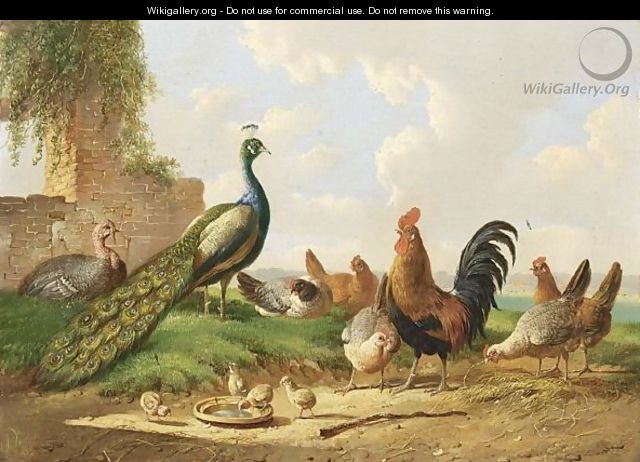 Peacocks, Cockerels And Chickens In A Landscape Near A Ruined Wall - Albertus Verhoesen