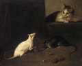 A Cat Stalking Two Rats Eating Walnuts - French School