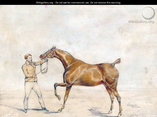 A Horse And A Jockey - Henry Thomas Alken