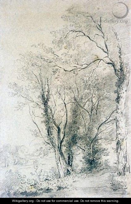 A Woodland Path - Henry Edridge