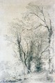 A Woodland Path - Henry Edridge