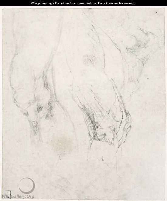 Study Of A Left Thigh And Knee, With A Separate Study Of A Right Knee Seen In Profile, And A Right Foot - Michelangelo Buonarroti