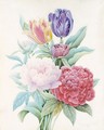 A Bouquet Of Peonies And Tulips - Comtesse D'aubigny D'afoy