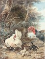 A Turkey Startling Chickens - Aert Schouman