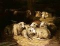 Sheep In A Byre - Dirk Peter Van Lokhorst