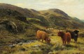 Highland Cattle - Louis Bosworth Hurt