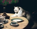 Cat On Table - Arthur Heyer