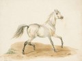 Study Of A Horse - Carle Vernet