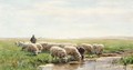 Sheep Drinking From A Pool - Willem II Steelink