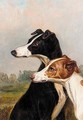 Head Studies Of Dogs - Colin Graeme Roe