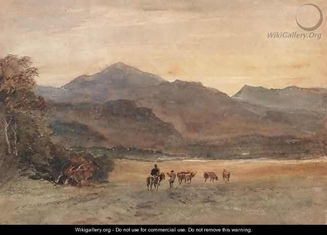 Cattle In A Hillside Meadow - David Y. Cox