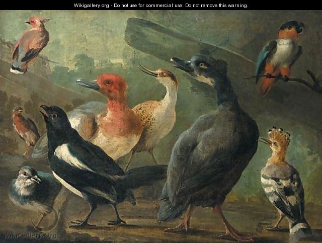A Landscape With A Black-Capped Caique Parrot, A Hoopoe, A Magpie And Other Birds - (after) Jakob Bogdany