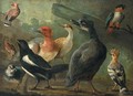 A Landscape With A Black-Capped Caique Parrot, A Hoopoe, A Magpie And Other Birds - (after) Jakob Bogdany